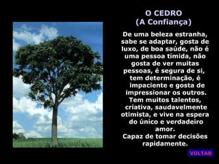 O CEDRO
(A Confiança)
De uma beleza estranha,
sabe se adaptar, gosta de
luxo, de boa saúde, não é
uma pessoa tímida, não
gosta de ver muitas
pessoas, é segura de si,
tem determinação, é
impaciente e gosta de
impressionar os outros.
Tem muitos talentos,
criativa, saudavelmente
otimista, e vive na espera
do único e verdadeiro
amor.
Capaz de tomar decisões
rapidamente.
VOLTAR
 