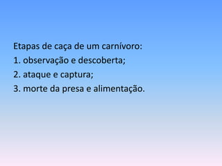 Etapas de caça de um carnívoro:
1. observação e descoberta;
2. ataque e captura;
3. morte da presa e alimentação.
 
