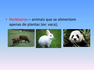 • Herbívoros – animais que se alimentam
  apenas de plantas (ex: vaca);
 