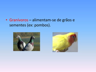 • Granívoros – alimentam-se de grãos e
  sementes (ex: pombos).
 