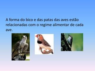 A forma do bico e das patas das aves estão
relacionadas com o regime alimentar de cada
ave.
 