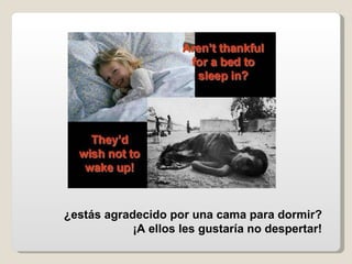 ¿estás agradecido por una cama para dormir?  ¡A ellos les gustaría no despertar!   