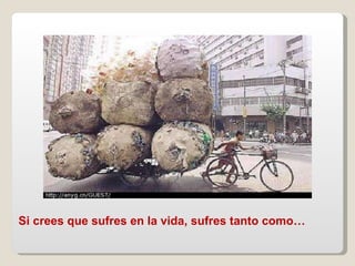 Si crees que sufres en la vida, sufres tanto como…   