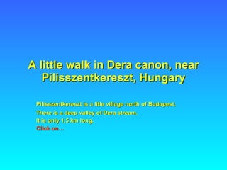 A little walk in Dera canon, near Pilisszentkereszt, Hungary Pilisszentkereszt is a litle village north of Budapest.   There is a deep valley of Dera stream. It is only 1,5 km long. Click on… 