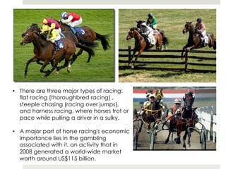 •  There are three major types of racing:
   flat racing (thoroughbred racing) ,
   steeple chasing (racing over jumps),
   and harness racing, where horses trot or
   pace while pulling a driver in a sulky.

•  A major part of horse racing's economic
   importance lies in the gambling
   associated with it, an activity that in
   2008 generated a world-wide market
   worth around US$115 billion.
 
