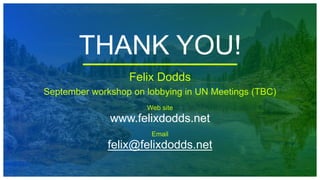 THANK YOU!
Felix Dodds
September workshop on lobbying in UN Meetings (TBC)
Web site
www.felixdodds.net
Email
felix@felixdodds.net
 