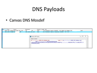 DNS Payloads
• Canvas DNS Mosdef
 