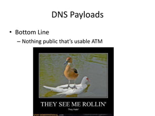 DNS Payloads
• Bottom Line
  – Nothing public that’s usable ATM
 