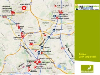 www.hertsdirect.org
Scope:
250+ Employees
 