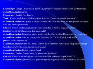 Organisation eines Chats Klares Thema & klare Regeln Wenige aktive Teilnehmer Beobachtungsaufträge Technische Voraussetzungen: Computerraum, Internet, evtl. Beamer Umfang: mindestens 3 Unterrichtsstunden 