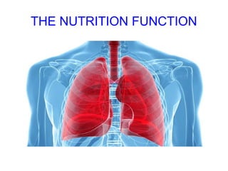 THE NUTRITION FUNCTION
 