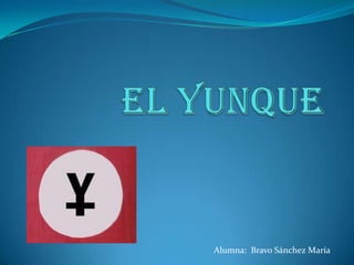 Alumna: Bravo Sánchez María
 