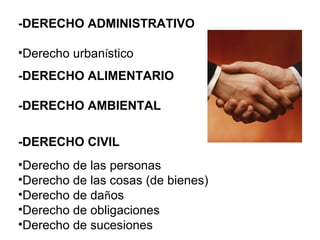 -DERECHO ADMINISTRATIVO Derecho urban í stico -DERECHO ALIMENTARIO -DERECHO AMBIENTAL   -DERECHO CIVIL   Derecho de las personas   Derecho de las cosas (de bienes)  Derecho de da ñ os   Derecho de obligaciones   Derecho de sucesiones  