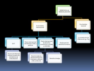 DERECHO A LA
SINDICALIZACIÓN
En el ámbito
internacional
Declaración de
derechos humanos
Pacto internacional
de derechos civiles y
políticos
O.IT.
Doctrina de libertad
sindical y protección
del derecho de
sindicalización
Pacto internacional
de derechos
económicos, sociales
y culturales
Derecho todas las
personas de formar
sindicatos y afiliarse
al de su elección
Derecho a huelga
En el ámbito
nacional
La constitución de
Chile en art.19, n°19