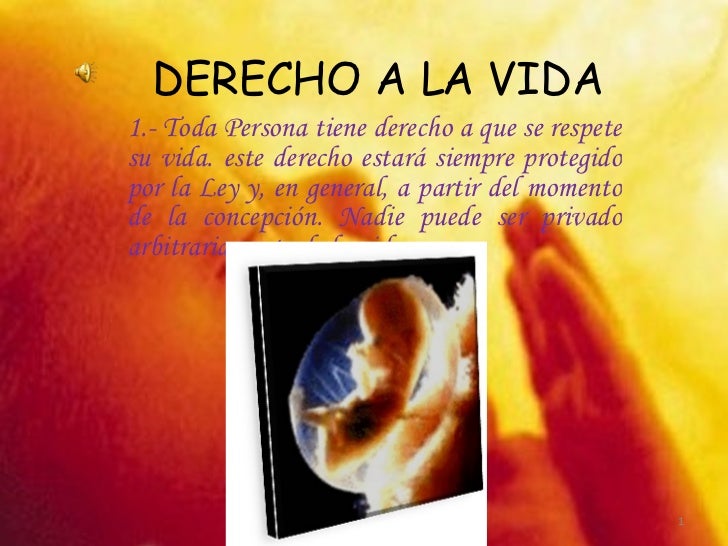 Derecho A La Vida Derecho A La Vida