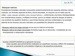 • Bosques nativos:
Ecosistemas forestales naturales compuestos predominantemente por especies arbóreas nativas
maduras, con diversas especies de flora y fauna asociadas, en conjunto con el medio que las
rodea —suelo, subsuelo, atmósfera, clima, recursos hídricos—, conformando una trama interdependiente
con características propias y múltiples funciones, que en su estado natural le otorgan al sistema
una condición de equilibrio dinámico y que brinda diversos servicios ambientales a la sociedad,
además de los diversos recursos naturales con posibilidad de utilización económica.
- Bosques nativos de origen primario en los que no intervino el hombre,
- Bosques nativos de origen secundario formados luego de un desmonte, o resultantes de una
recomposición o restauración voluntarias.
Quedan EXCEPTUADOS de la aplicación de la ley:
todos aquellos aprovechamientos realizados en superficies menores a DIEZ (10) hectáreas
que sean propiedad de comunidades indígenas o de pequeños productores
Dra. Silvia Nonna
Ley 26.331
 