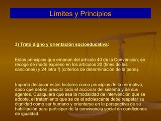3)  Trato digno y orientación socioeducativa :  Estos principios que emanan del artículo 40 de la Convención, se recoge de modo expreso en los artículos 20 (fines de las sanciones) y 24 letra f) (criterios de determinación de la pena). Importa destacar estos factores como principios de la normativa, dado que deben presidir todo el accionar del sistema y de sus agentes. Cualquiera que sea la modalidad de intervención que se adopte, el tratamiento que se de al adolescente debe respetar su dignidad como ser humano y orientarse en la perspectiva de su habilitación para participar de la convivencia social en condiciones de igualdad. Límites y Principios 