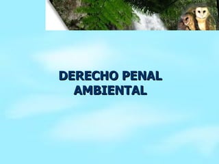 DERECHO PENAL AMBIENTAL 