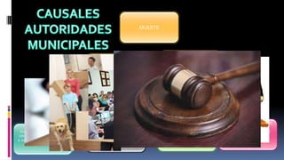 MUERTE
ASUNCIÓN DE
OTRO CARGO
PROVENIENTE DE
MANDATO
POPULAR
SENTENCIA JUDICIAL
EMITIDA EN ÚLTIMA
INSTANCIA POR DELITO
DOLOSO
INCONCURRENCIA
INJUSTIFICADAA 3 SESIONES
ORDINARIASCONSECUTIVASO
6 NOCONSECUTIVAS DURANTE
3 MESES
NEPOTISMO,
CONFORMEA LEY DE
LA MATERIA
CAMBIO DE DOMICILIO
FUERA DE LA RESPECTIVA
JURISDICCIÓN MUNICIPAL
AUSENCIA DE LA RESPECTIVA
JURISDICCIÓN MUNICIPAL POR
MÁS DE 30 DÍAS
CONSECUTIVOS, SIN
AUTORIZACIÓN DEL CONCEJO
MUNICIPAL
POR INCURRIR EN LA
CAUSAL ESTABLECIDA EN
ELARTÍCULO 63º DE LA
PRESENTE LEY
POR SOBREVENIR ALGUNOS DE
LOS IMPEDIMENTOS
ESTABLECIDOS EN LA LEY DE
ELECCIONES MUNICIPALES,
DESPUÉS DE LA ELECCIÓN.
ENFERMEDADO
IMPEDIMENTO FÍSICO
PERMANENTEQUE IMPIDA
EL DESEMPEÑO NORMAL
DE SUS FUNCIONES
 