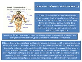 ORGANISMO Y ÓRGANO ADMINISTRATIVO (I)
La doctrina del derecho administrativo adopta
ciertos términos de otras ciencias creando ficciones
jurídicas de carácter utilitario, para de este modo
definir los elementos que son materia de su
estudio. En efecto de la biología se extrae los
términos organismo y órgano, para darles una
aplicación jurídica practica.
La persona física constituye un organismo, compuesto por una variedad de órganos, que
se integran sistemáticamente, pero que cumplen funciones determinadas.
El Estado tiene una personalidad jurídica originaria, es decir nace con él, es consustancial a su
misma existencia, por razón precisamente de la necesidad del establecimiento de relaciones
de derecho recíprocas con los ciudadanos. El Estado entonces tiene capacidad de imperio
para crear personalidades jurídicas a favor de sus propios órganos, para que de modo
indirecto, la representen; en este caso es un mecanismo de descentralización administrativa
ya que los órganos dotados de personalidad jurídica pueden ejercer sus actividades sin
sujetar sus decisiones al poder central. Forman parte de la administración institucional.
 