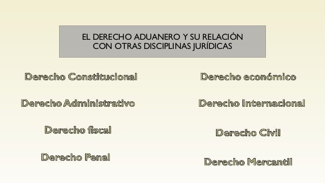 Derecho aduanero relaciones con otras disciplinas
