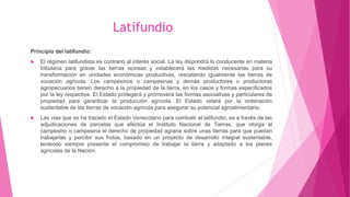 Latifundio
Principio del latifundio:
 El régimen latifundista es contrario al interés social. La ley dispondrá lo conducente en materia
tributaria para gravar las tierras ociosas y establecerá las medidas necesarias para su
transformación en unidades económicas productivas, rescatando igualmente las tierras de
vocación agrícola. Los campesinos o campesinas y demás productores o productoras
agropecuarios tienen derecho a la propiedad de la tierra, en los casos y formas especificados
por la ley respectiva. El Estado protegerá y promoverá las formas asociativas y particulares de
propiedad para garantizar la producción agrícola. El Estado velará por la ordenación
sustentable de las tierras de vocación agrícola para asegurar su potencial agroalimentario.
 Las vías que se ha trazado el Estado Venezolano para combatir el latifundio, es a través de las
adjudicaciones de parcelas que efectúa el Instituto Nacional de Tierras, que otorga al
campesino o campesina el derecho de propiedad agraria sobre unas tierras para que puedan
trabajarlas y percibir sus frutos, basado en un proyecto de desarrollo integral sustentable,
teniendo siempre presente el compromiso de trabajar la tierra y adaptado a los planes
agrícolas de la Nación.
 
