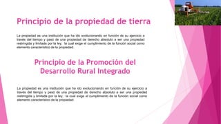 Principio de la propiedad de tierra
La propiedad es una institución que ha ido evolucionando en función de su ejercicio a
través del tiempo y pasó de una propiedad de derecho absoluto a ser una propiedad
restringida y limitada por la ley; la cual exige el cumplimiento de la función social como
elemento característico de la propiedad.
La propiedad es una institución que ha ido evolucionando en función de su ejercicio a
través del tiempo y pasó de una propiedad de derecho absoluto a ser una propiedad
restringida y limitada por la ley; la cual exige el cumplimiento de la función social como
elemento característico de la propiedad.
Principio de la Promoción del
Desarrollo Rural Integrado
 