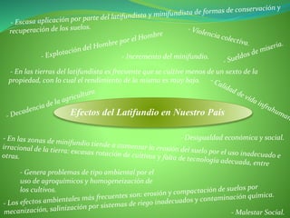 Efectos del Latifundio en Nuestro País
- Malestar Social.
- Desigualdad económica y social.
- Incremento del minifundio.
- Genera problemas de tipo ambiental por el
uso de agroquímicos y homogeneización de
los cultivos.
- En las tierras del latifundista es frecuente que se cultive menos de un sexto de la
propiedad, con lo cual el rendimiento de la misma es muy bajo.
 