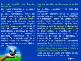 Page 7
Las que cumplen una función económica
son:
La mediana propiedad y la propiedad
empresarial
La función económico-social en materia
agraria, establecida por el artículo 169[13]de
la Constitución Política del Estado, es el
empleo sostenible de la tierra en el
desarrollo de actividades agropecuarias,
forestales y otras de carácter productivo, así
como en las de conservación y protección de
la biodiversidad, la investigación y el
ecoturismo, conforme a su capacidad de uso
mayor, en beneficio de la sociedad, el
interés colectivo y el de su propietario.
Las TCOS y las propiedades Campesinas
comunidad Bajo el principio de que la tierra
es para el quien la trabaja si no cumple la
función económica la propiedad mediana y
empresarial se revierte al estado.
arias solo deben cumplir una función social,
no se les exige la económica social
Las que cumplen una función
social son:
Las tierras medianas, la propiedad
comunitaria Y pequeña.
La actual Constitución Política del
Estado establece que la función
social "Es el aprovechamiento
sustentable de la tierra por parte de
pueblos y comunidades indígena
originario campesinos, así como el
que se realiza en pequeñas
propiedades, y constituye la fuente
de subsistencia y de bienestar y
desarrollo sociocultural de sus
titulares. En el cumplimiento de la
función social se reconocen las
normas propias de las comunidades.
(Art. 397).
 