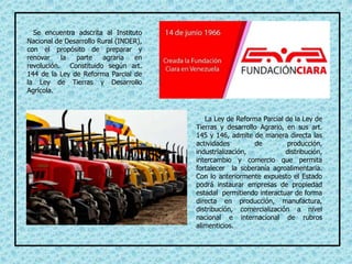 Se encuentra adscrita al Instituto
Nacional de Desarrollo Rural (INDER),
con el propósito de preparar y
renovar la parte agraria en
revolución. Constituido según art.
144 de la Ley de Reforma Parcial de
la Ley de Tierras y Desarrollo
Agrícola.
La Ley de Reforma Parcial de la Ley de
Tierras y desarrollo Agrario, en sus art.
145 y 146, admite de manera directa las
actividades de producción,
industrialización, distribución,
intercambio y comercio que permita
fortalecer la soberanía agroalimentaria.
Con lo anteriormente expuesto el Estado
podrá instaurar empresas de propiedad
estadal permitiendo interactuar de forma
directa en producción, manufactura,
distribución, comercialización a nivel
nacional e internacional de rubros
alimenticios.
 