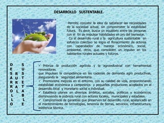 DESARROLLO SUSTENTABLE.
Permite concebir la idea de satisfacer las necesidades
de la sociedad actual, sin comprometer la estabilidad
futura. Es decir, busca un equilibrio entre las personas
con el fin de impulsar habilidades en pro del bienestar.
Co el desarrollo rural y la agricultura sustentable en
esfuerzo colectivo se logra el florecimiento de actores
con capacidades de manejo económico, social,
ambiental, otros, que consoliden un impulso en los
habitantes rurales actuales y futuros.
D
E
S
A
R
R
O
L
L
O
R
U
R
A
L
S
U
S
T
E
T
A
B
L
E
 Prioriza la producción agrícola y la agroindustrial con herramientas
renovadoras
que impulsan la competencia en las cadenas de demanda agro productivas,
asegurando la seguridad alimentaria.
 Promociona mejoras en el entorno, con su calidad de vida, proporcionando
estabilidad económica a campesinos y pequeños productores acoplados en el
desarrollo local y monetario social e individual.
 Establece planes en diversos ámbitos, sociales, políticos y económicos,
disminuyendo la pobreza rural con actores locales, municipales y estadales.
 Compromisos de garantías que preserven tal desarrollo rural, apalancado en
el mantenimiento de tecnologías, tenencia de tierras, servicios, infraestructura,
asistencia técnica.
 
