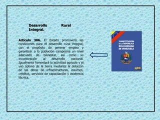 Artículo 306. El Estado promoverá las
condiciones para el desarrollo rural integral,
con el propósito de generar empleo y
garantizar a la población campesina un nivel
adecuado de bienestar, así como su
incorporación al desarrollo nacional.
Igualmente fomentará la actividad agrícola y el
uso óptimo de la tierra mediante la dotación
de las obras de infraestructuras, insumos,
créditos, servicios de capacitación y asistencia
técnica.
Desarrollo Rural
Integral.
 