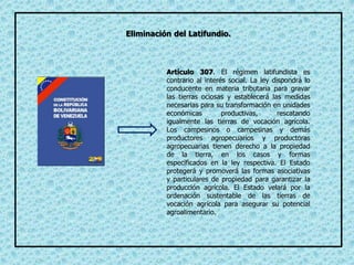 Eliminación del Latifundio.
Artículo 307. El régimen latifundista es
contrario al interés social. La ley dispondrá lo
conducente en materia tributaria para gravar
las tierras ociosas y establecerá las medidas
necesarias para su transformación en unidades
económicas productivas, rescatando
igualmente las tierras de vocación agrícola.
Los campesinos o campesinas y demás
productores agropecuarios y productoras
agropecuarias tienen derecho a la propiedad
de la tierra, en los casos y formas
especificados en la ley respectiva. El Estado
protegerá y promoverá las formas asociativas
y particulares de propiedad para garantizar la
producción agrícola. El Estado velará por la
ordenación sustentable de las tierras de
vocación agrícola para asegurar su potencial
agroalimentario.
 