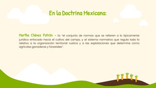 En la Doctrina Mexicana:
Martha Chávez Patrón – Es “el conjunto de normas que se refieren a lo típicamente
jurídico enfocado hacia el cultivo del campo, y al sistema normativo que regula todo lo
relativo a la organización territorial rustica y a las explotaciones que determine como
agrícolas ganaderas y forestales”.
 