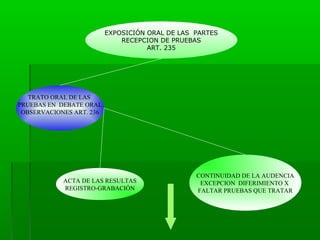 EXPOSICIÓN ORAL DE LAS PARTES
RECEPCION DE PRUEBAS
ART. 235

TRATO ORAL DE LAS
PRUEBAS EN DEBATE ORAL
OBSERVACIONES ART. 236

ACTA DE LAS RESULTAS
REGISTRO-GRABACIÓN

CONTINUIDAD DE LA AUDENCIA
EXCEPCION DIFERIMIENTO X
FALTAR PRUEBAS QUE TRATAR

 