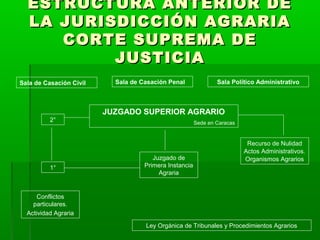 ESTRUCTURA ANTERIOR DE
LA JURISDICCIÓN AGRARIA
CORTE SUPREMA DE
JUSTICIA
Sala de Casación Civil

Sala de Casación Penal

Sala Político Administrativo

JUZGADO SUPERIOR AGRARIO
2°

1°

Sede en Caracas

Juzgado de
Primera Instancia
Agraria

Recurso de Nulidad
Actos Administrativos.
Organismos Agrarios

Conflictos
particulares.
Actividad Agraria
Ley Orgánica de Tribunales y Procedimientos Agrarios

 