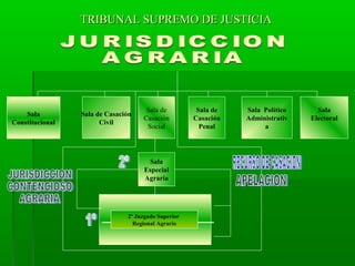 TRIBUNAL SUPREMO DE JUSTICIA

Sala
Constitucional

Sala de Casación
Civil

Sala de
Casación
Social

Sala
Especial
Agraria

2º Juzgado Superior
Regional Agrario

Sala de
Casación
Penal

Sala Político
Administrativ
a

Sala
Electoral

 