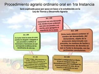 Procedimiento agrario ordinario oral en 1ra Instancia
Será explicado paso por paso en base a lo establecido en la
Ley de Tierras y Desarrollo Agrario
 