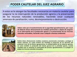 PODER CAUTELAR DEL JUEZ AGRARIO
A estos se le otorgan las facultades necesarias en materia cautelar para
asegurar la no interrupción de la producción agraria y la preservación
de los recursos naturales renovables, haciendo cesar cualquier
amenaza de paralización, ruina, desmejoramiento o destrucción.
Deben velar por el mantenimiento de la seguridad agroalimentaria, por o que
de deberán dictar oficiosamente las medidas pertinentes a objeto de asegurar
la no interrupción de la producción agraria y la preservación de los recursos
naturales renovables, haciendo cesar cualquier amenaza ambiental.
Podrán dictar oficiosamente medidas cautelares provisionales orientadas a proteger el
interés colectivo, las cuales tendrán por finalidad la protección de los derechos del
productor rural, de los bienes agropecuarios, la utilidad pública de las materias agrarias,
así como también la protección del interés general de la actividad agraria, cuando
considere que se amenaza la continuidad del proceso agroalimentario o se pongan en
peligro los recursos naturales renovables.
 