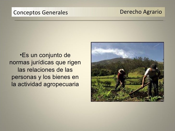 Derecho agrario por rubén c