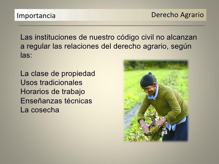 Derecho agrario por rubén c