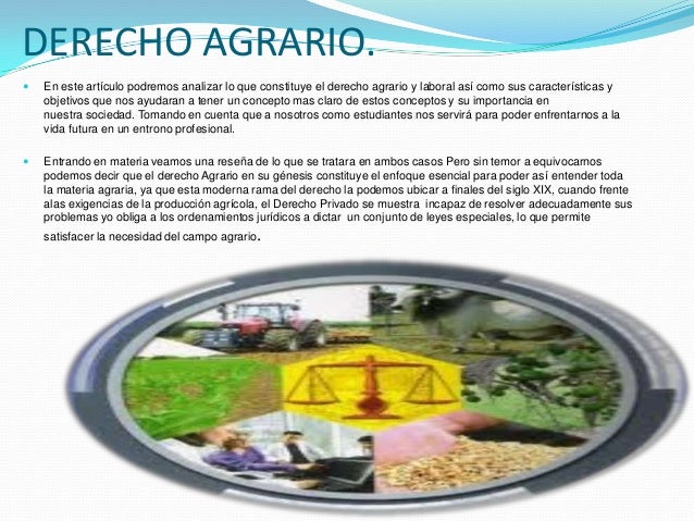 Derecho agrario y art.123 (2)
