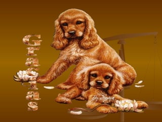 Derecho a la_igualdad_000 rafa