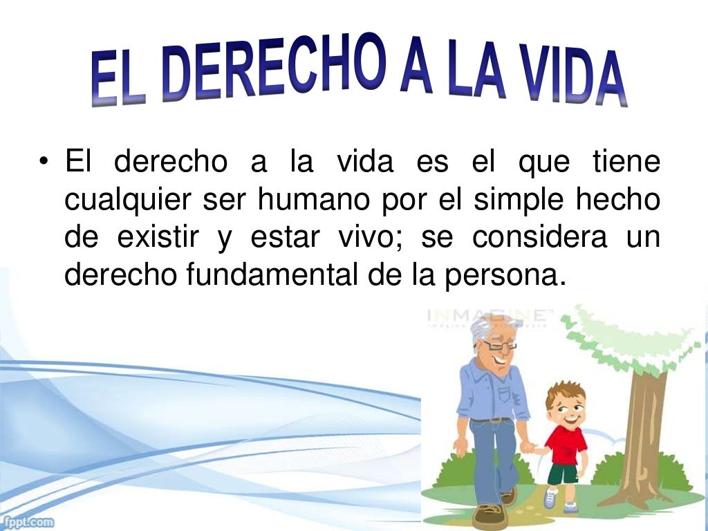 Art 11 Derecho A La Vida Art 11 Derecho A La Vida