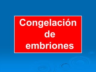 Congelación
    de
 embriones
 