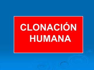 CLONACIÓN
 HUMANA
 