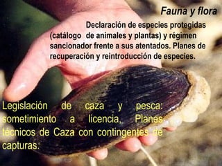 Fauna y flora (BIODIVERSIDAD)
Declaración de especies
protegidas (catálogo de
animales y plantas) y régimen
sancionador frente a sus
atentados. Planes de recuperación
y reintroducción de especies.
Legislación de caza y pesca:
sometimiento a licencia, “Planes
técnicos” con contingentes de
capturas.
 