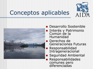 Conceptos aplicables
Desarrollo Sostenible
Interés y Patrimonio
Común de la
Humanidad
Derechos de
Generaciones Futuras
Responsabilidad
Intrageneracional
Seguridad Ambiental
Responsabilidades
comunes pero
diferenciadas
 