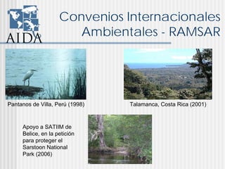 Convenios Internacionales
Ambientales - RAMSAR
Pantanos de Villa, Perú (1998) Talamanca, Costa Rica (2001)
Apoyo a SATIIM de
Belice, en la petición
para proteger el
Sarstoon National
Park (2006)
 