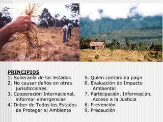 PRINCIPIOS
1. Soberanía de los Estados
2. No causar daños en otras
jurisdicciones
3. Cooperación Internacional,
informar emergencias
4. Deber de Todos los Estados
de Proteger el Ambiente
5. Quien contamina paga
6. Evaluación de Impacto
Ambiental
7. Participación, Información,
Acceso a la Justicia
8. Prevención
9. Precaución
 